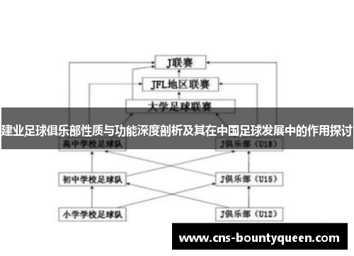 建业足球俱乐部性质与功能深度剖析及其在中国足球发展中的作用探讨 建业足球俱乐部性质与功能深度剖析及其在中国足球发展中的作用探讨