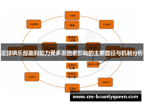 足球俱乐部盈利能力受多重因素影响的主要路径与机制分析 足球俱乐部盈利能力受多重因素影响的主要路径与机制分析