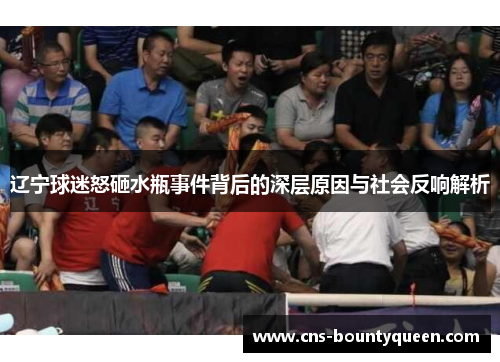 辽宁球迷怒砸水瓶事件背后的深层原因与社会反响解析 辽宁球迷怒砸水瓶事件背后的深层原因与社会反响解析