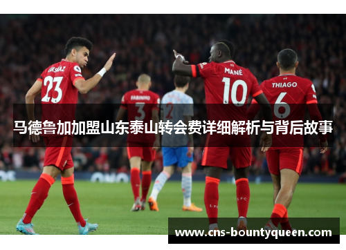 马德鲁加加盟山东泰山转会费详细解析与背后故事 马德鲁加加盟山东泰山转会费详细解析与背后故事